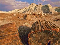 Окаменелый лес, Аризона 3-национальный парк "Петрифайд-Форест"